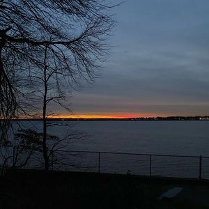 Meet your Posher, Rose